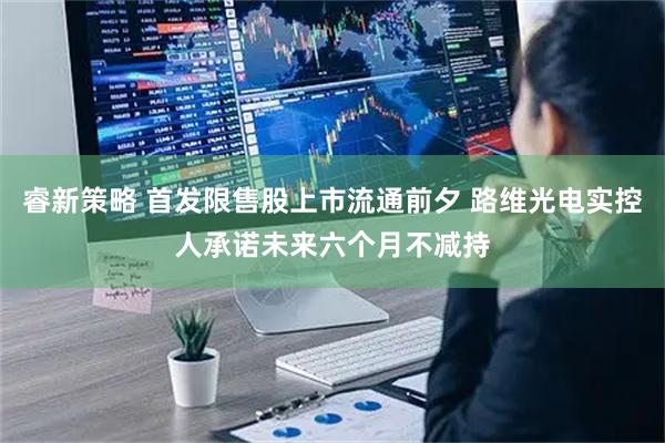 睿新策略 首发限售股上市流通前夕 路维光电实控人承诺未来六个月不减持