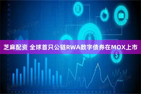 芝麻配资 全球首只公链RWA数字债券在MOX上市