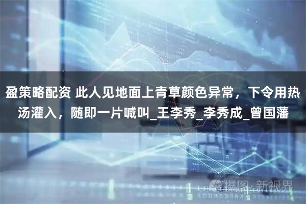 盈策略配资 此人见地面上青草颜色异常，下令用热汤灌入，随即一片喊叫_王李秀_李秀成_曾国藩