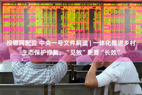 投哪网配资 中央一号文件解读 | 一体化推进乡村生态保护修复，“见效”更要“长效”
